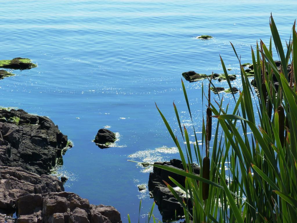 Sea View Apartments Sozopol Buitenkant foto