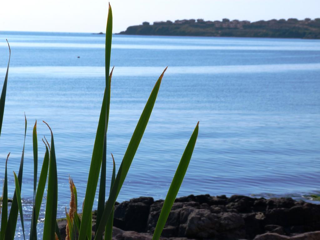 Sea View Apartments Sozopol Kamer foto